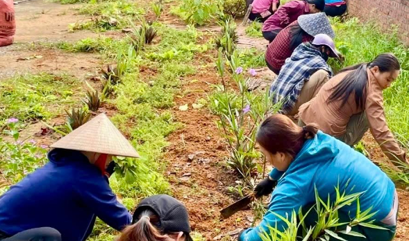  Thanh Hóa: Phong trào “Toàn dân chung tay bảo vệ môi trường, vì một Việt Nam xanh - sạch - đẹp” ở Na Mèo 